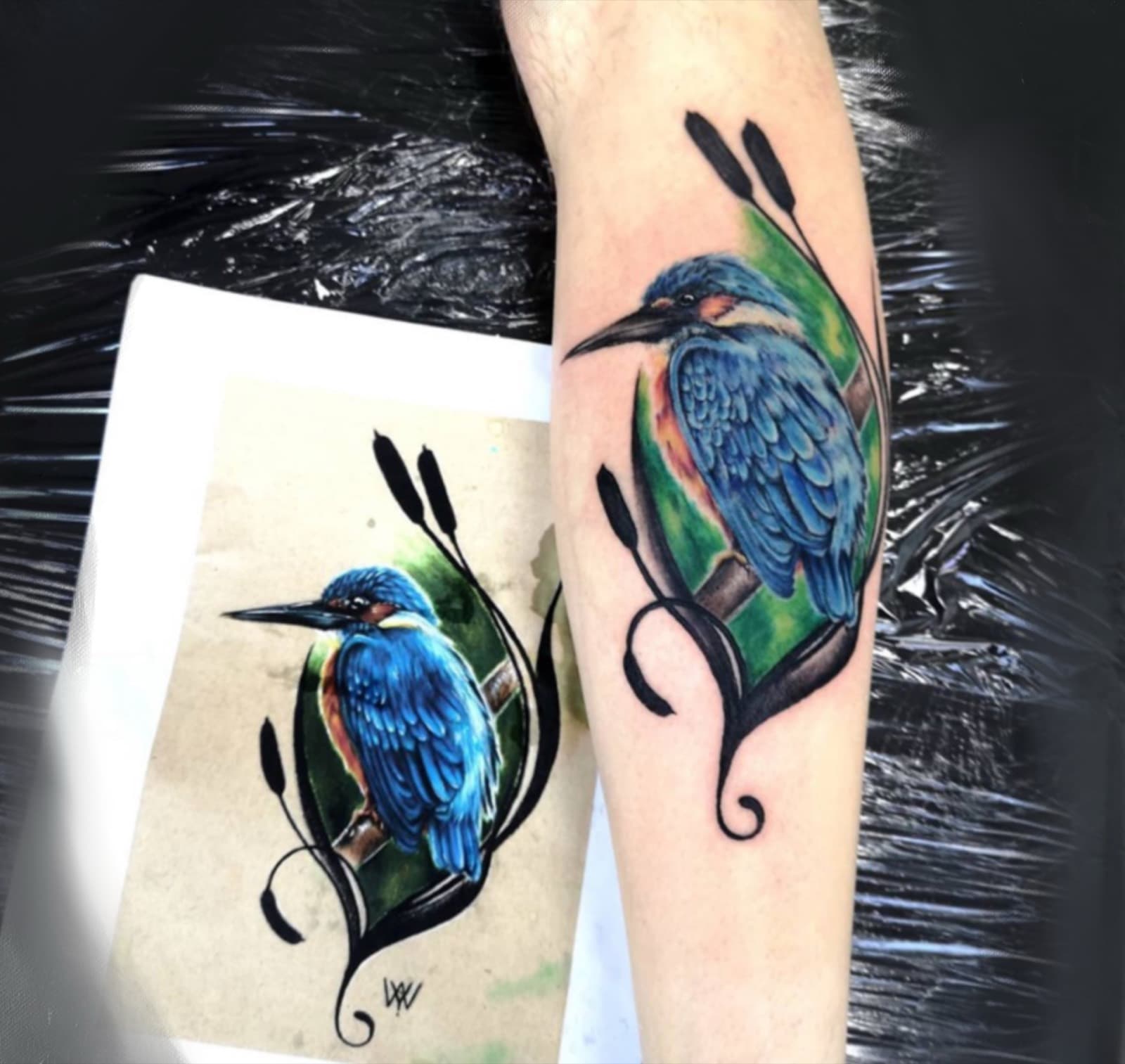 Colour tattoo by Laurie Watts