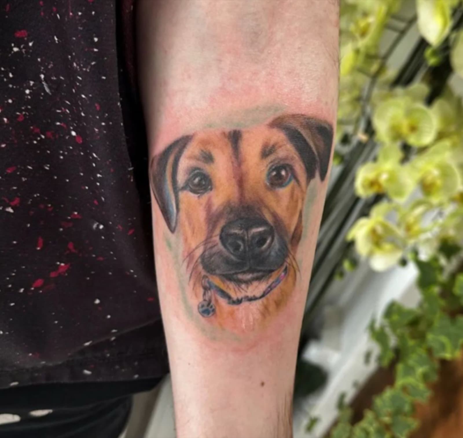 Colour tattoo by Laurie Watts