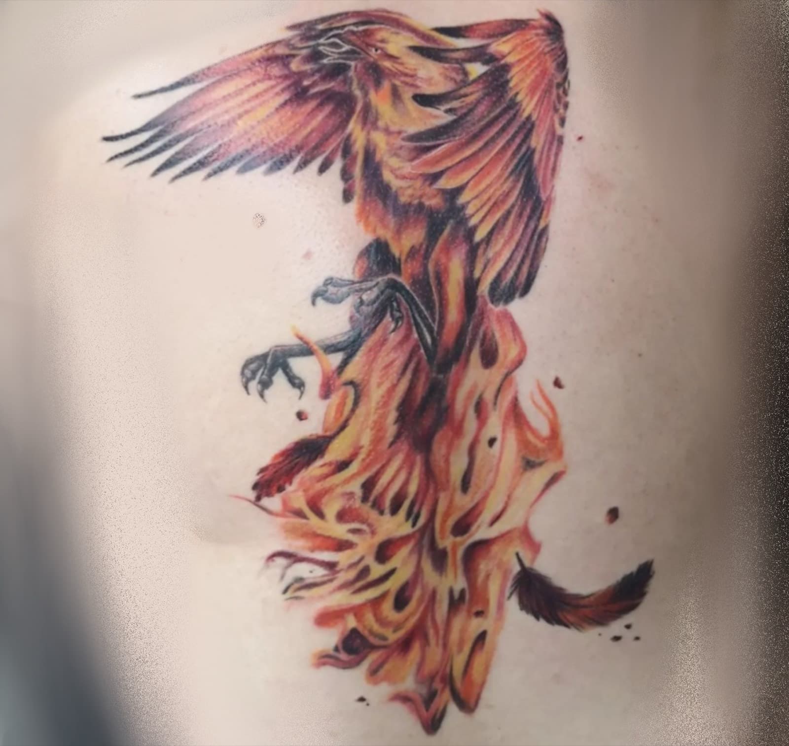 Colour tattoo by Laurie Watts