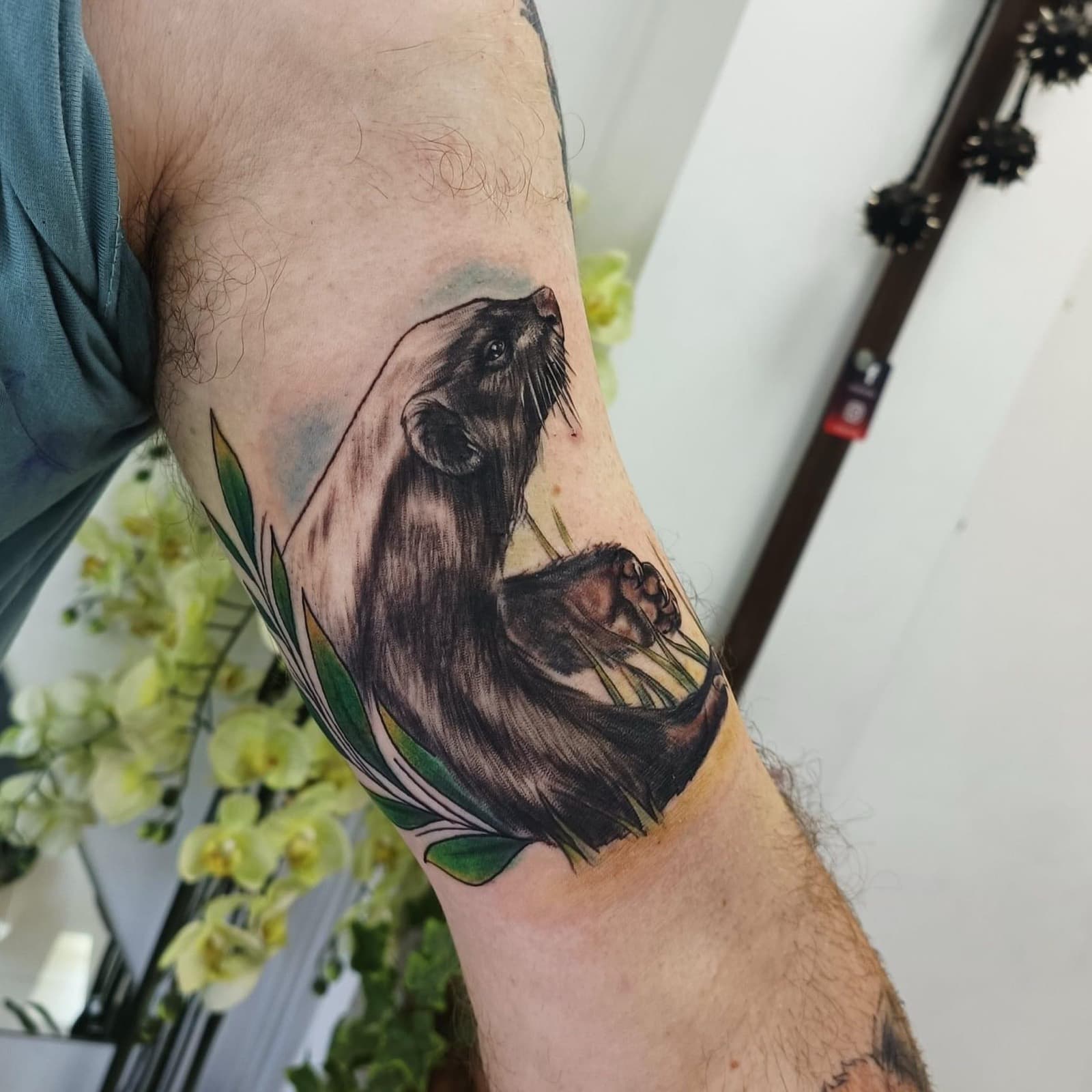 Colour tattoo by Laurie Watts